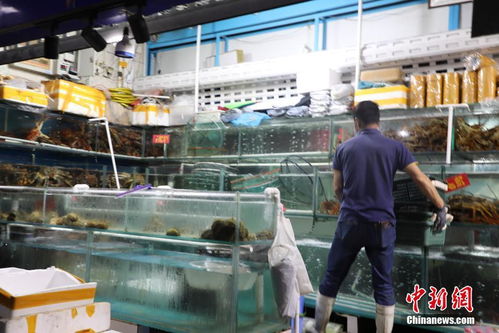 大连市内大型水产品市场 缩短营业时间 严格防疫消毒