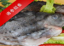 海味集翠 探索“三去安康鱼”与“鲐鲅鱼”的深层样貌