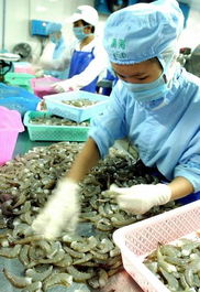 海南水产出口猛增 解锁热带水产“黄金密码”