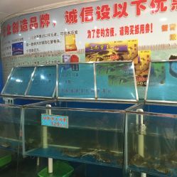 探访南京市白下区王勇水产品经营部—电话、地址、价格及营业时间全攻略