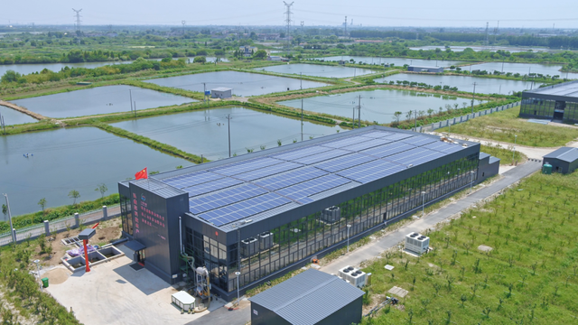 再度第一！我市2020年第一批无公害水产品认定主体数量位居全省榜首